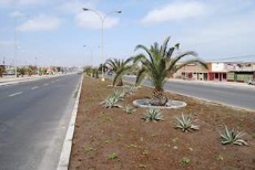 Áreas Verdes en Ciclovías