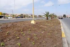 Áreas Verdes en Ciclovías